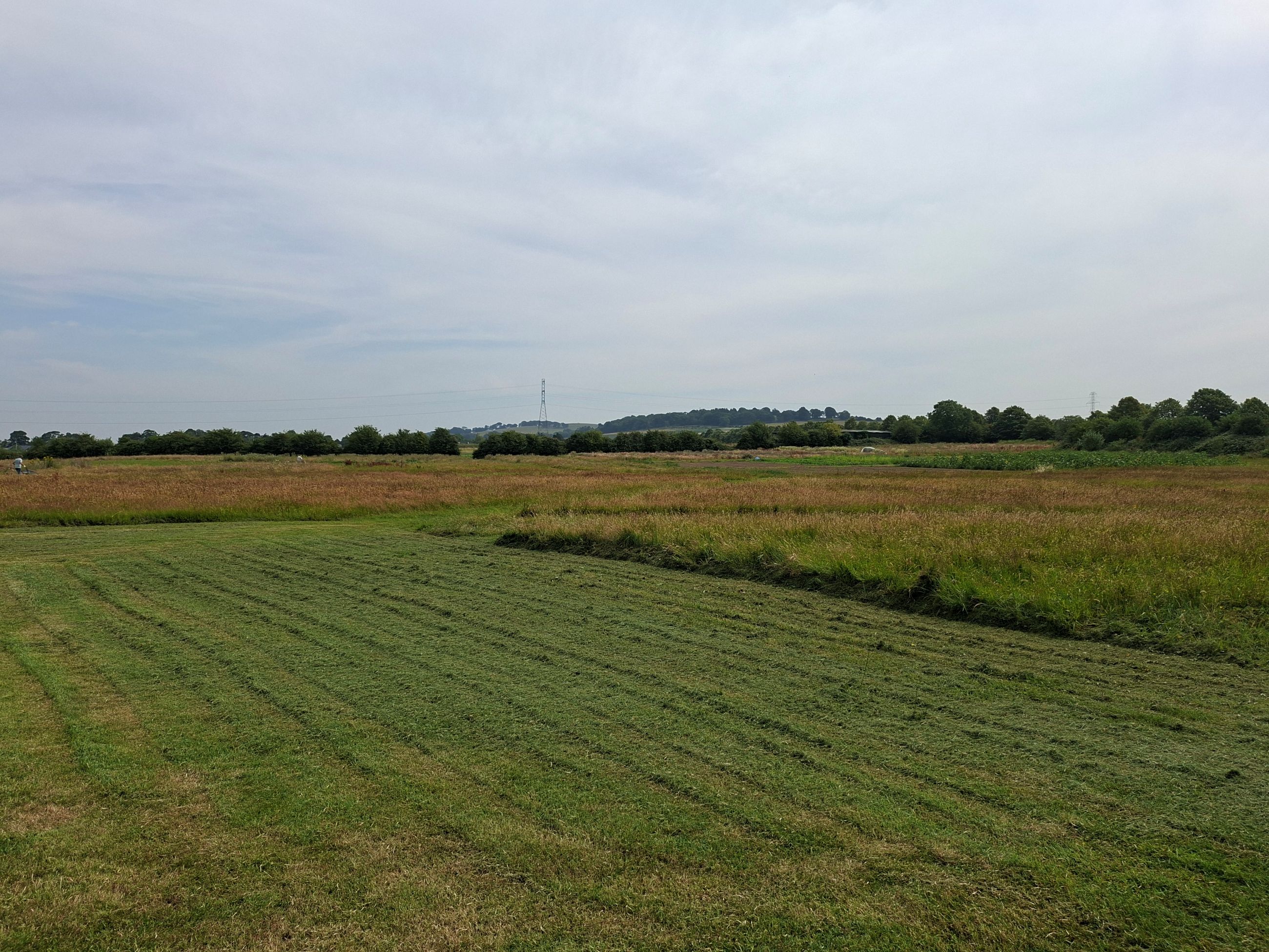Kyrie Farm Land1.jpg